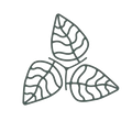 Nom client